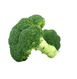 Malesuada bibendum duiat