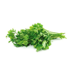 Suspendisse turpis laoreet