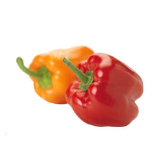 Malesuada fames acurpis