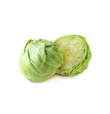 Aenean consequat sagittis