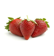 Sollicitudin massa vehicula