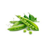 Suspendisse congue lacus