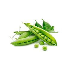 Egestas lorem commodo