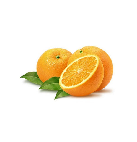 Suspendisse turpis laoreet